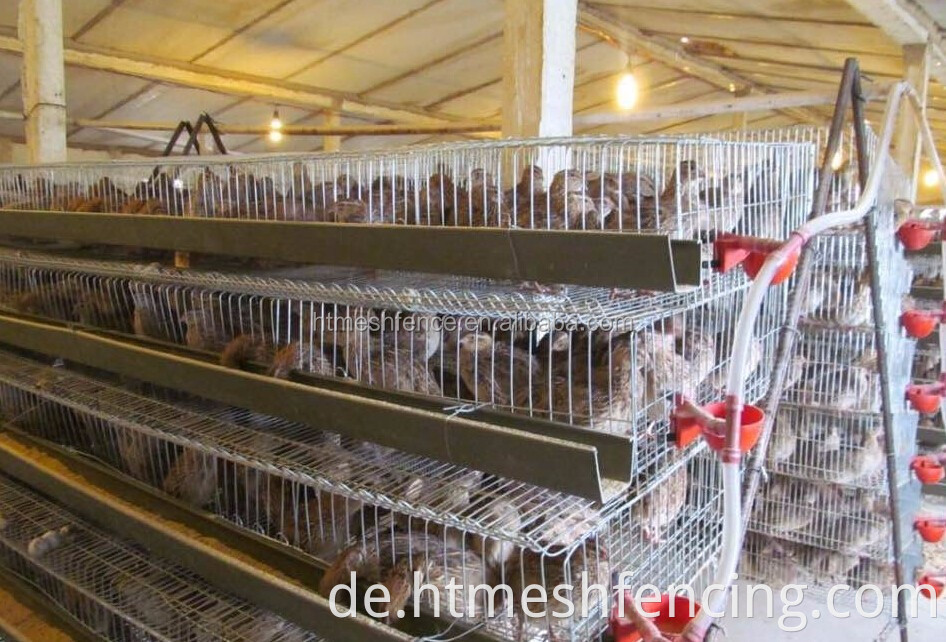 5 Ebenen 144 Hühnchen Easy Clean Industrial Backyard Chicken Cage Coop House